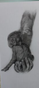 Baby aapje - Carla Kabel-Verwer